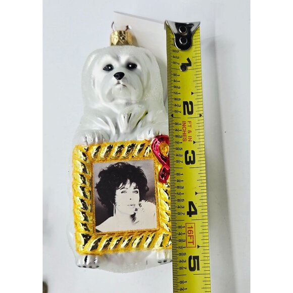 Christopher Radko 1998 Sugar Holiday Ornament Elizabeth Taylor AIDS Foundation - Picture 8 of 8